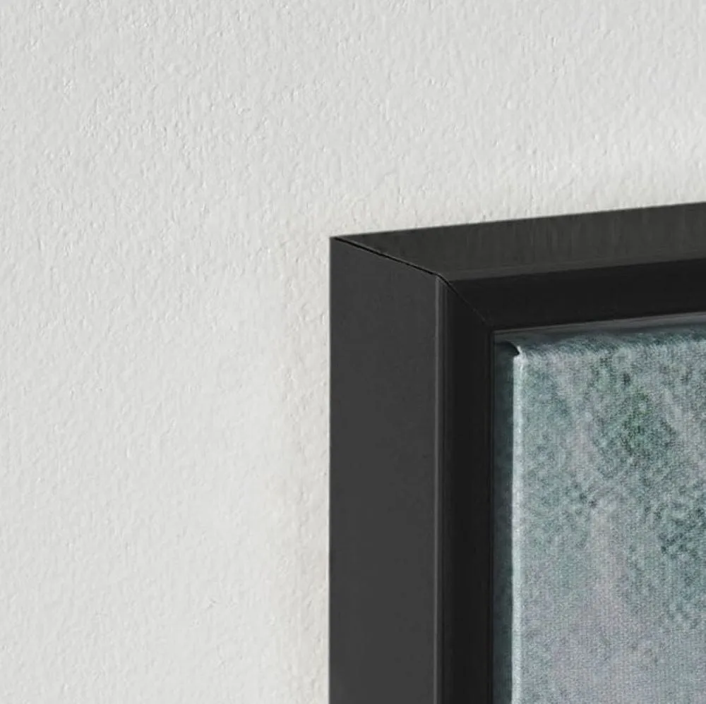 Bold Shapes Canvas Print